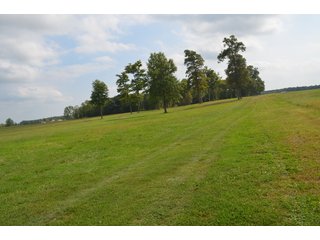 Home in Dekalb County, Indiana - MAJOR LAND AUCTION - 516+/- ACRES OFFERED IN 18 TRACTS OR COMBINATIONS IN DEKALB COUNTY, INDIANA
